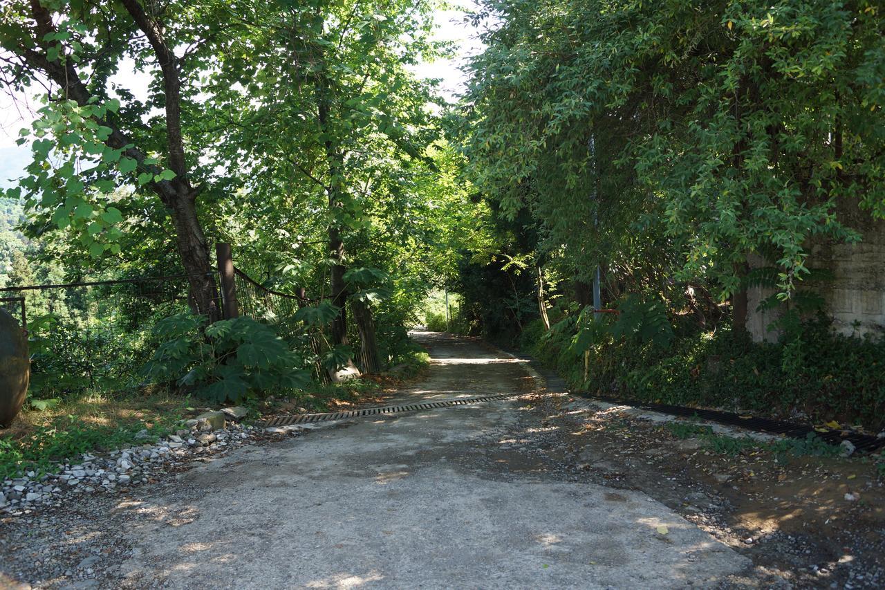 Гостевой дом Anamaria Батуми Экстерьер фото